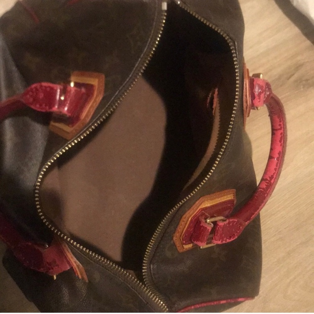 Louis Vuitton Speedy Special Edition Bag - Picture 5 of 16